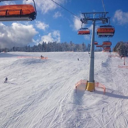 Willa Male Alpy 300 M Od Kompleksow Narciarskich Krynica-Zdrój Exteriör bild