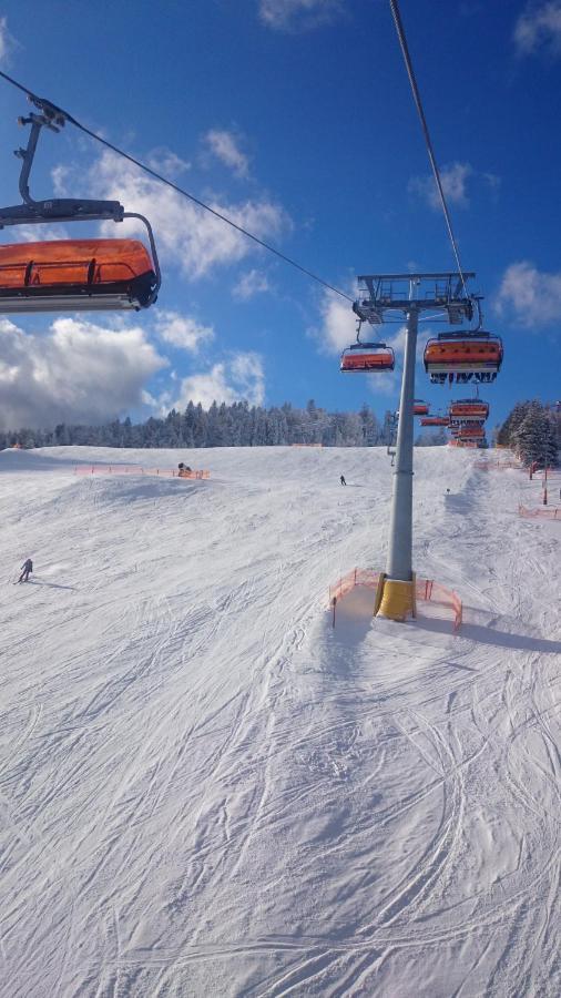 Willa Male Alpy 300 M Od Kompleksow Narciarskich Krynica-Zdrój Exteriör bild