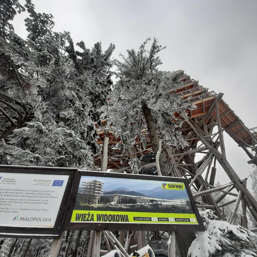 Willa Male Alpy 300 M Od Kompleksow Narciarskich Krynica-Zdrój Exteriör bild