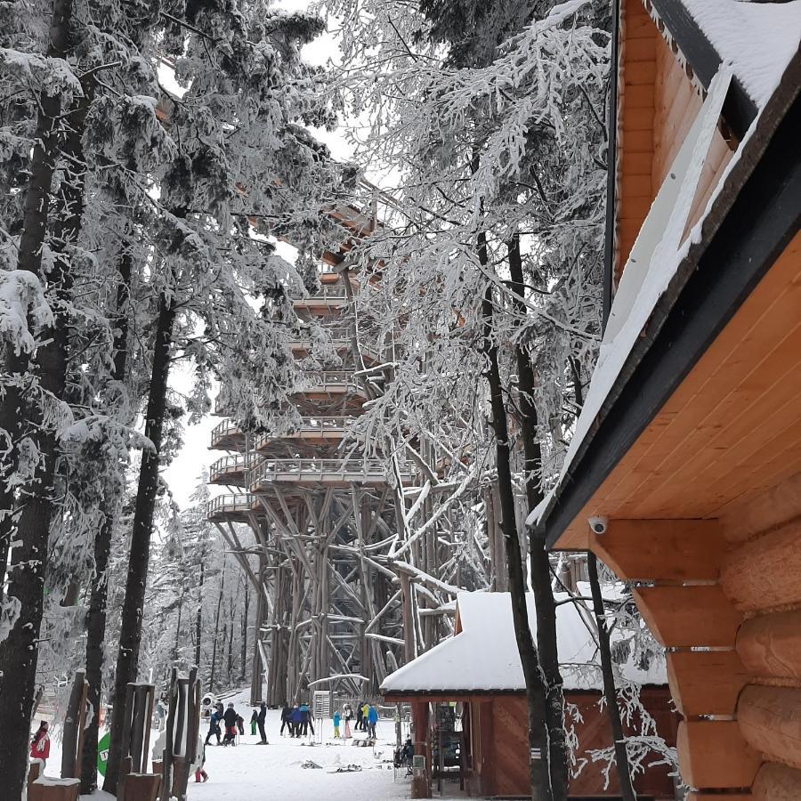 Willa Male Alpy 300 M Od Kompleksow Narciarskich Krynica-Zdrój Exteriör bild