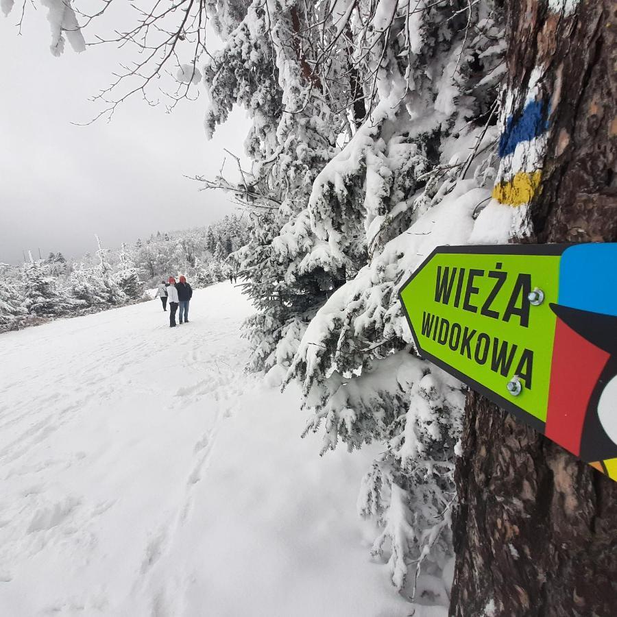 Willa Male Alpy 300 M Od Kompleksow Narciarskich Krynica-Zdrój Exteriör bild