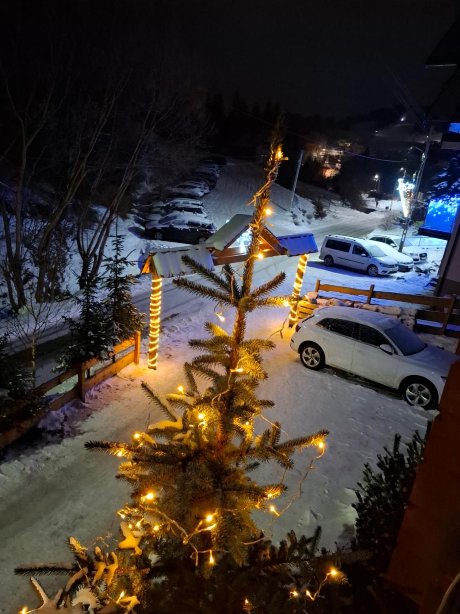 Willa Male Alpy 300 M Od Kompleksow Narciarskich Krynica-Zdrój Exteriör bild