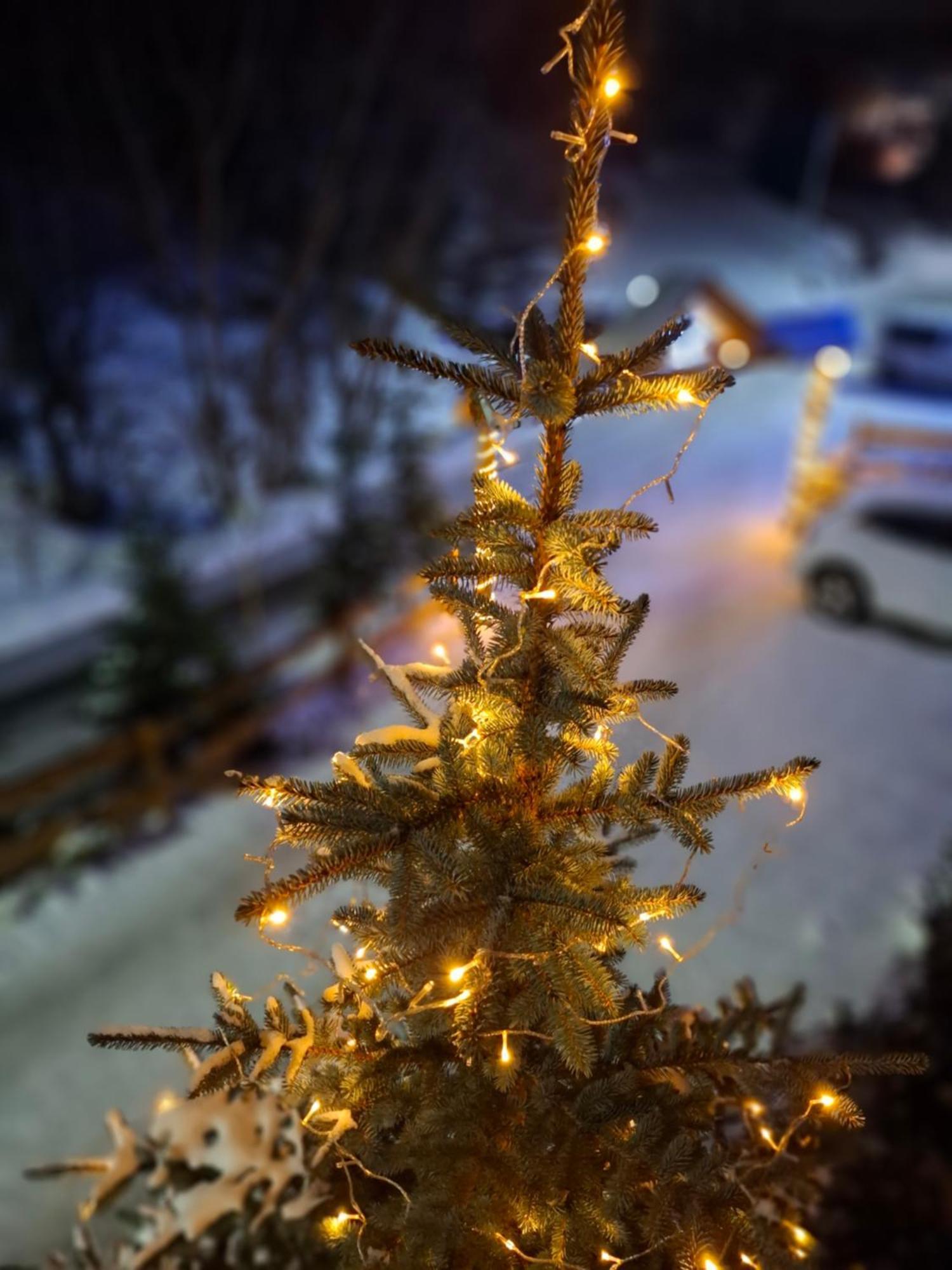Willa Male Alpy 300 M Od Kompleksow Narciarskich Krynica-Zdrój Exteriör bild