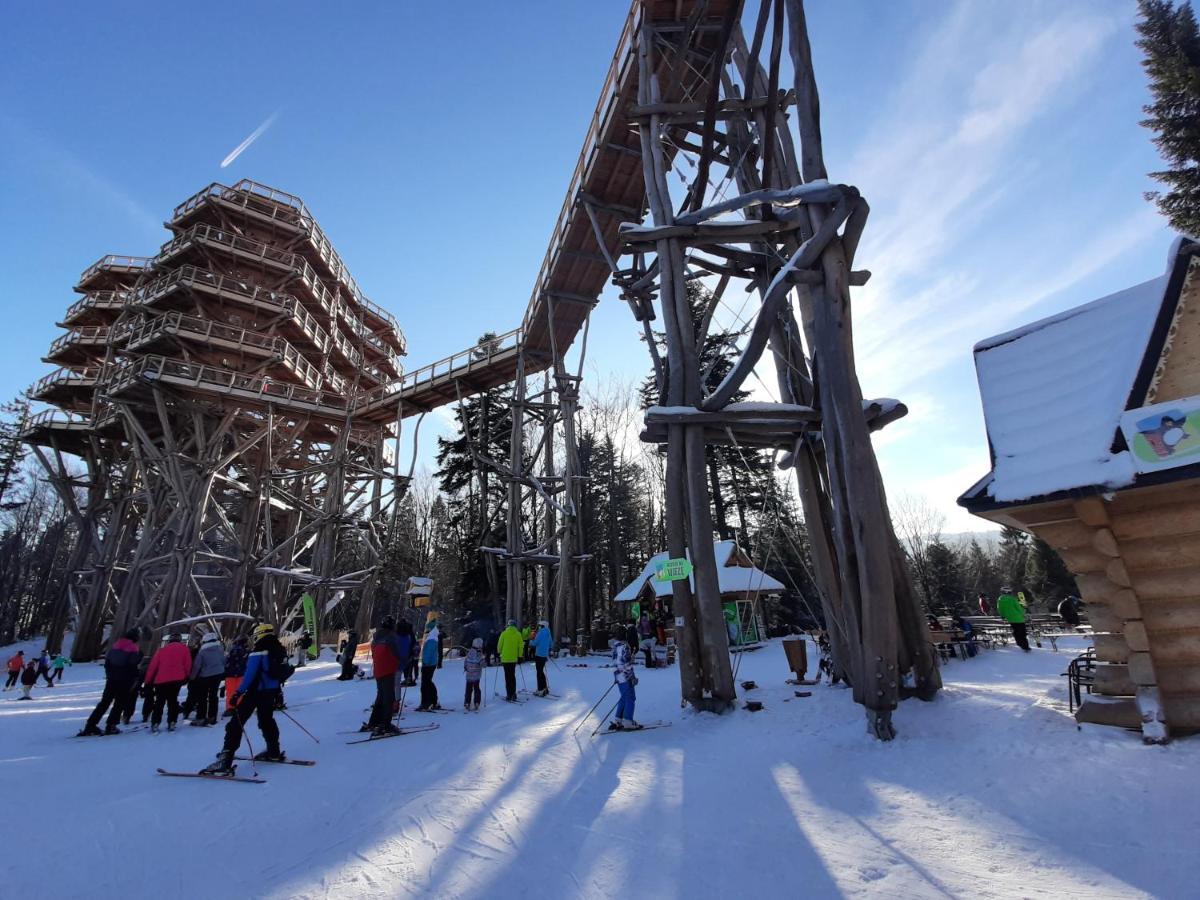 Willa Male Alpy 300 M Od Kompleksow Narciarskich Krynica-Zdrój Exteriör bild